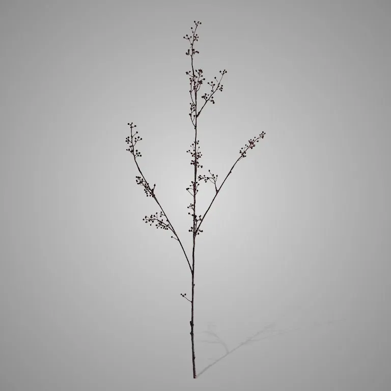 Wild Twig with Berries Grande Dark Brown 103 cm
