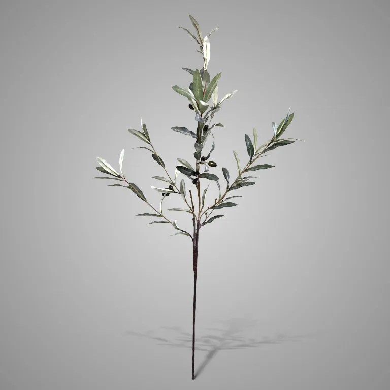 Olive Tall Fructus 120 cm