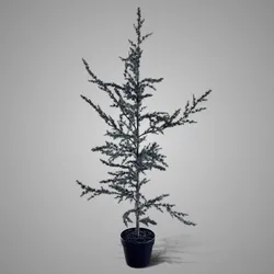 Tree Ceder Grey M H.120 cm