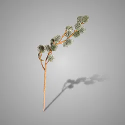 Larix Stem Grey Green M 60 cm