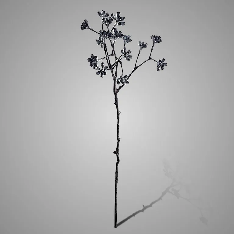 Enkianthus Buds Grande Grey Black 65 cm