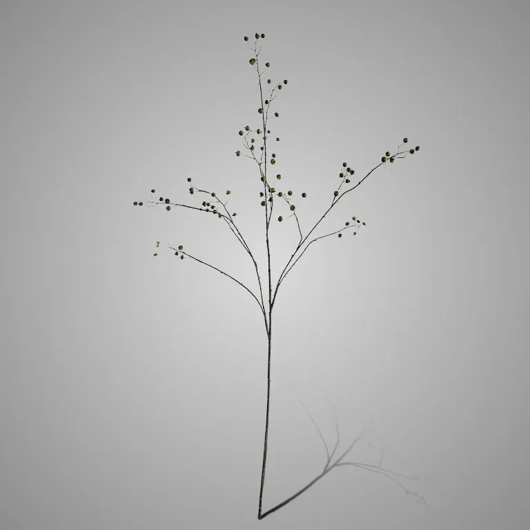 Rose Hip Branche Green 134cm