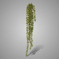Hanging Pea Excellent Green 70 cm