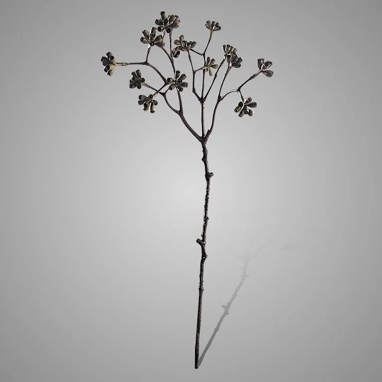 Enkianthus Buds Grande Grey Green 65 cm