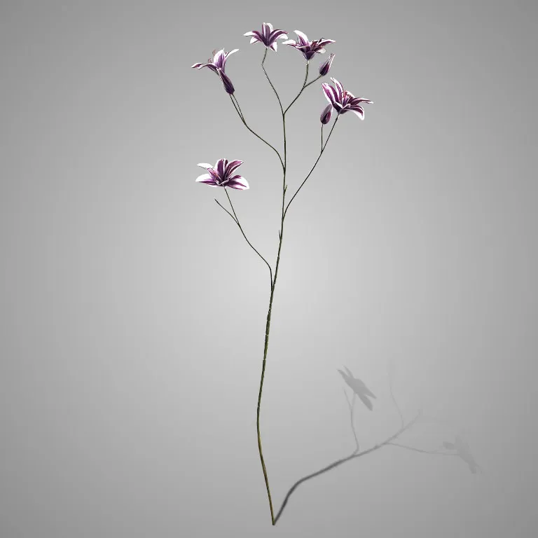 Magnolia Spray Colorado Burgundy 81cm