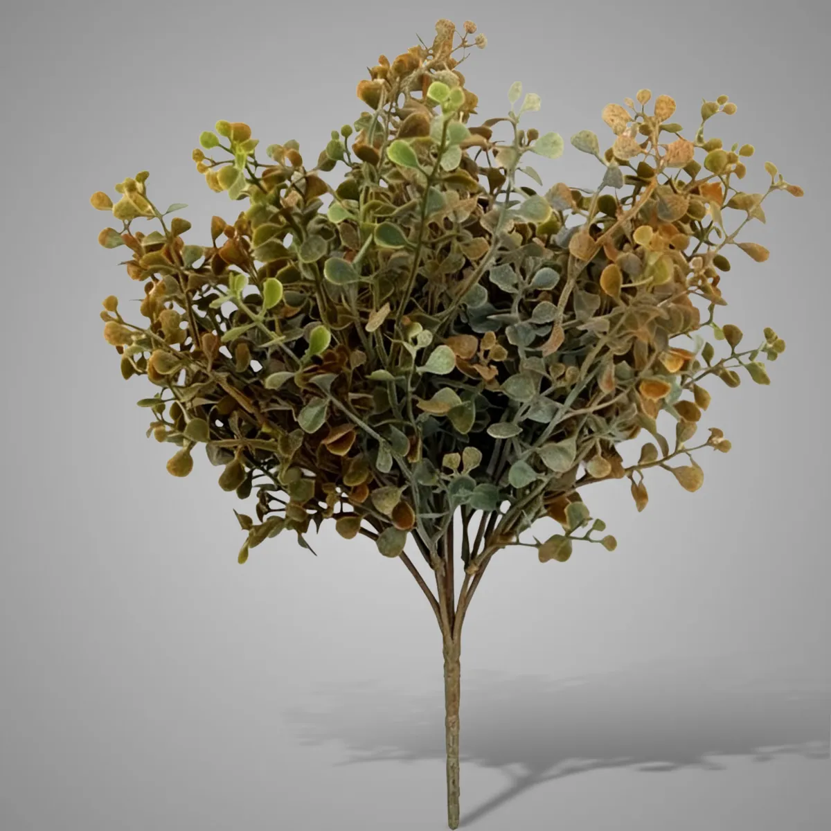 Ginkgo Bush Autumn 33 cm