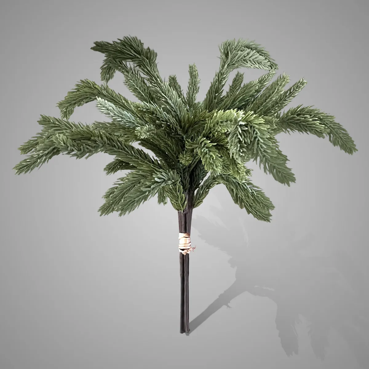 Picea Stem Grey Green Bundle4 34 cm