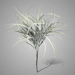 Bush Grass Grande Grey 70 cm