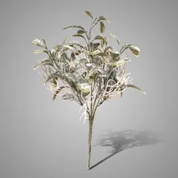 Bush Stachys Grey 32 cm