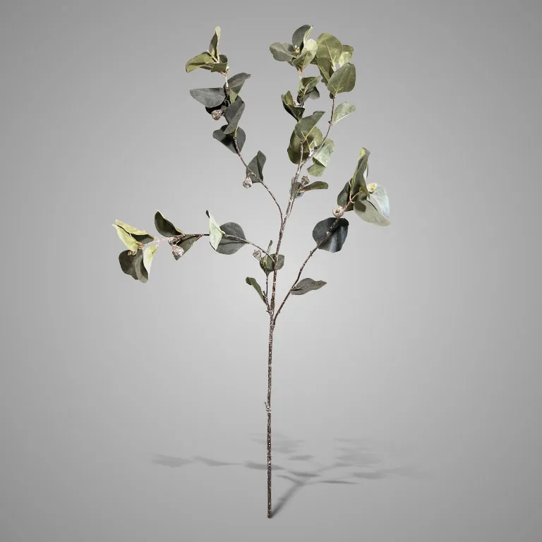 Eucalyptus Stem Grande Fructus 105 cm