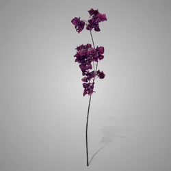 Bouganvillea Purple 85 cm