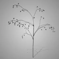 Eucalyptus Bud Grande 108 cm