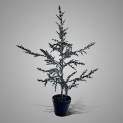 Tree Ceder Grey S H.80 cm