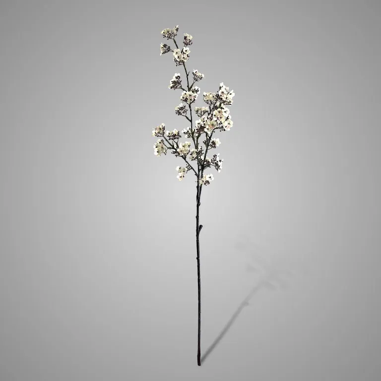 Potentilla White 102 cm