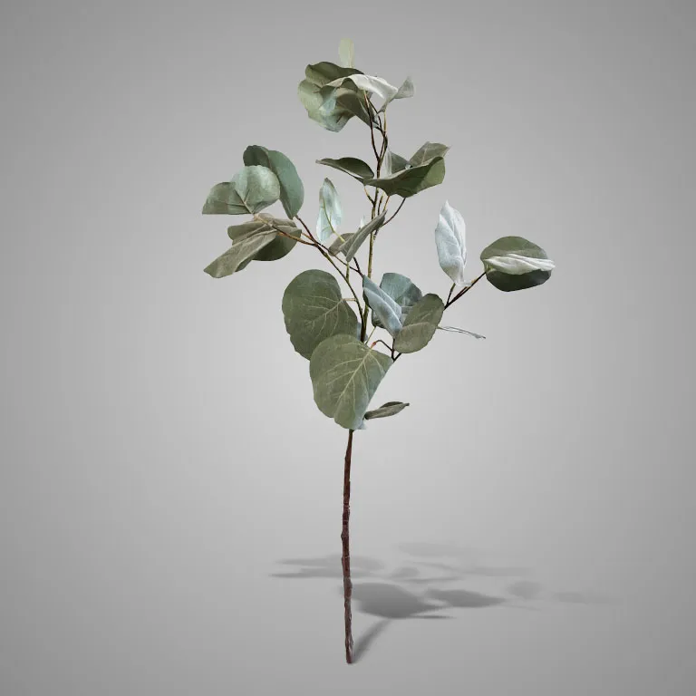 Eucalyptus Stem Grande Leaf 115 cm