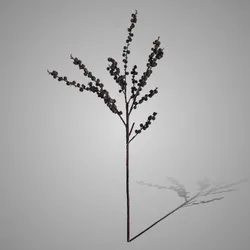 Phytolacca Dried Brown Green 82 cm