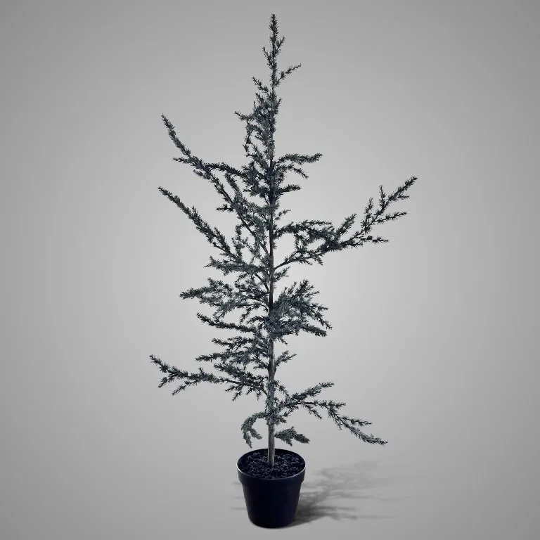 Tree Ceder Grey M H.120 cm