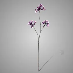 Magnolia Spray Colorado Pink 81cm