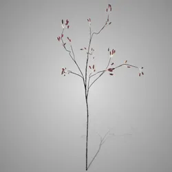 Rose Bus Orange 125 cm