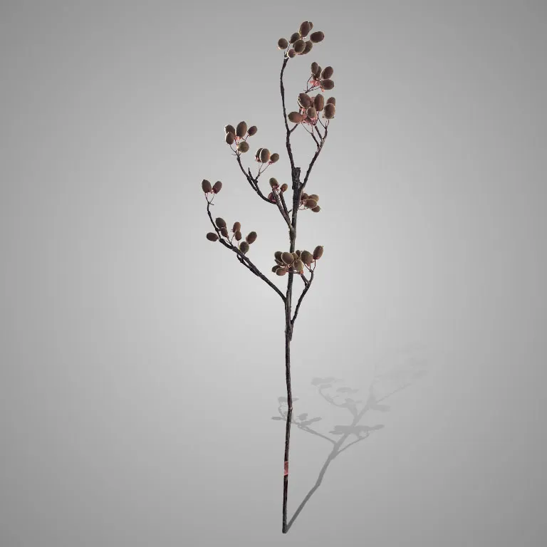 Alnus Grande Green Brown 92cm