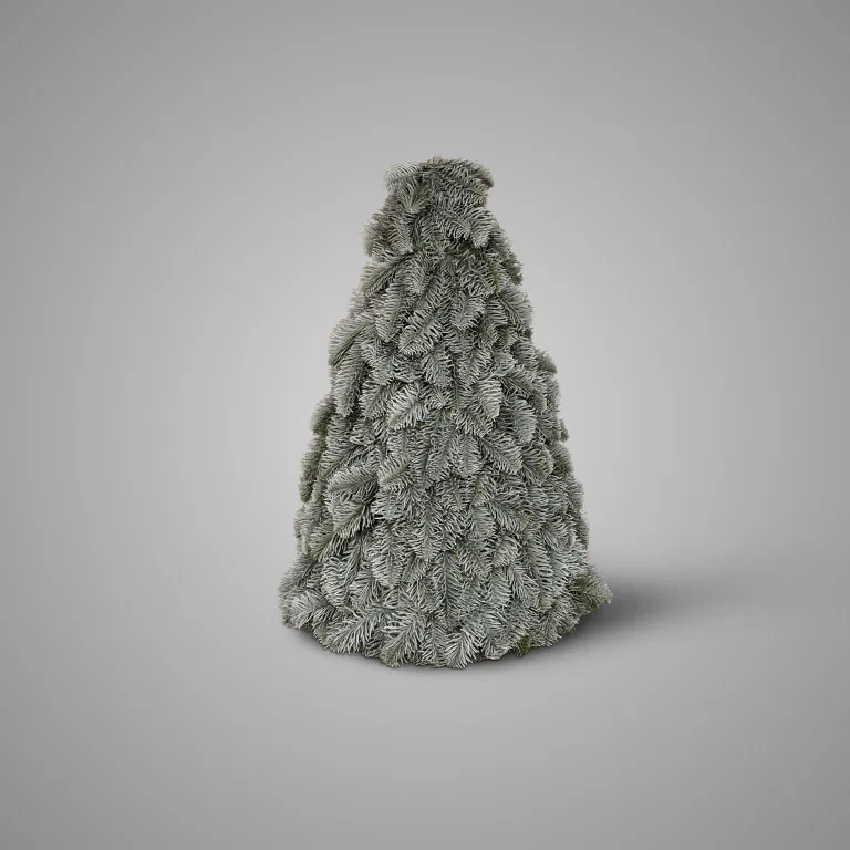 Nobilis X-Tree L D.35 H.52