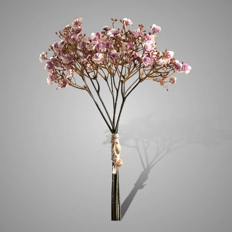 Bundle of 5 Stems Gypsophila Ant. Pink 30 cm