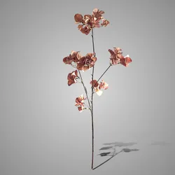 Bouganvillea Ant. Pink 85 cm