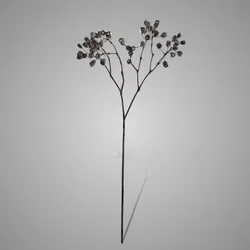 Sorbus Buds Grande Grey Green 83 cm