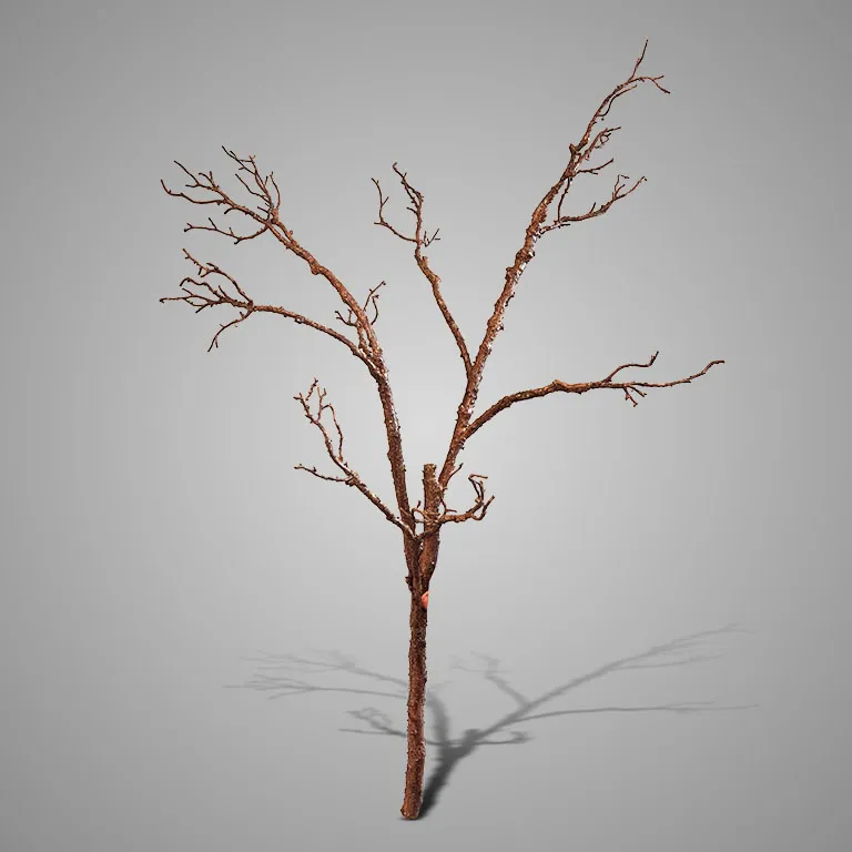 Branch Real Brown 116 cm
