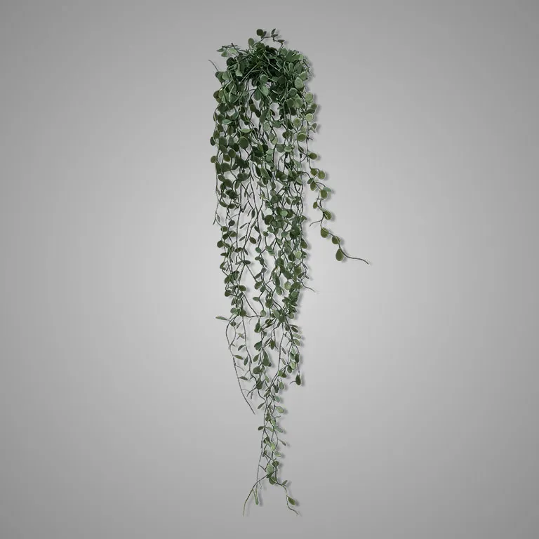 MÜHLENBECKIA-HÄNGER X30, CA 80CM, DUNKELGRÜN, KUNSTSTOFF