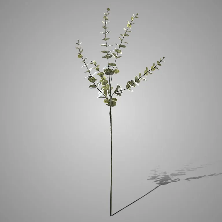 EUKALYPTHUSZWEIG, 73 CM, GRAU