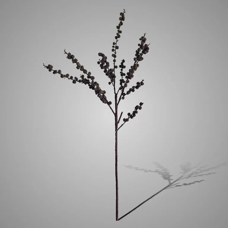 Phytolacca Dried Brown Green 82 cm