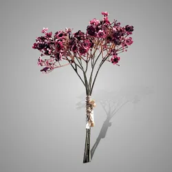 Bundle of 5 Stems Gypsophila Burgundy 30 cm