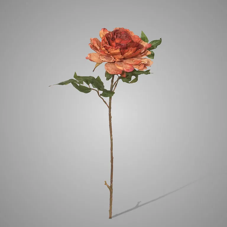 Peony Copper 65 cm