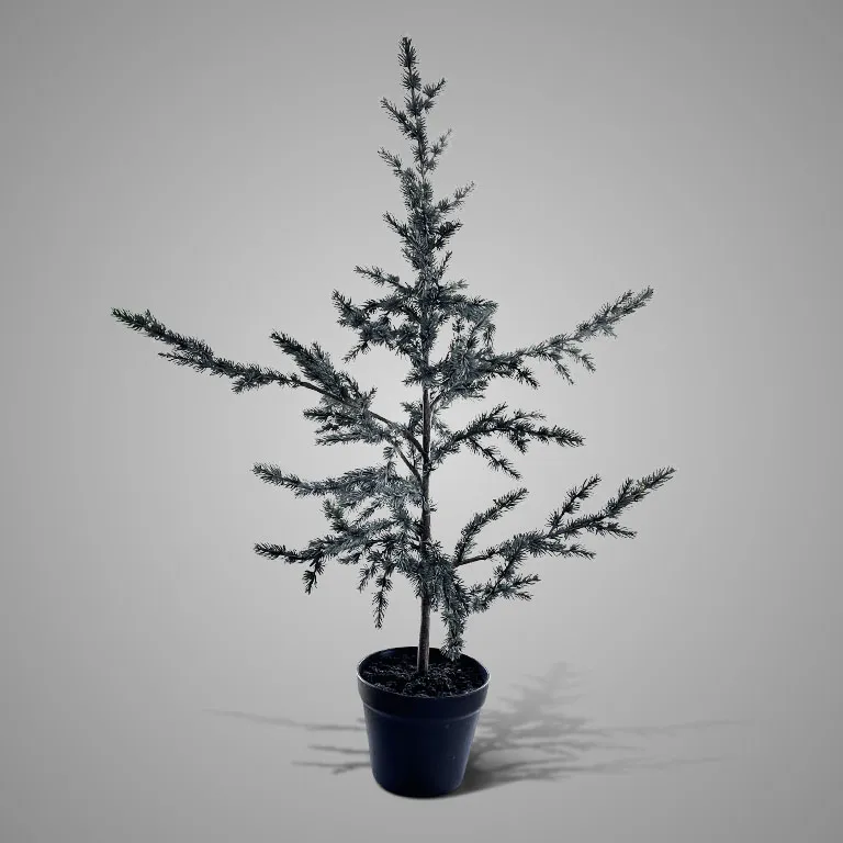 Tree Ceder Grey S H.80 cm