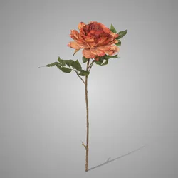 Peony Copper 65 cm