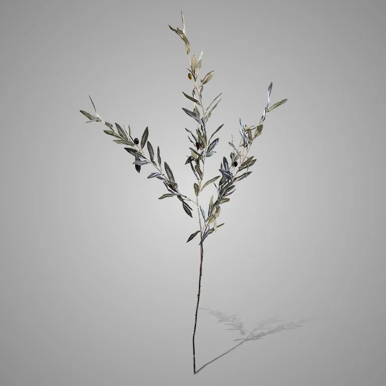 Olive Ancient Grey 110 cm