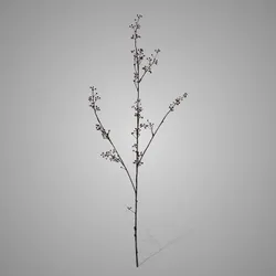 Wild Twig with Berries Grande Dark Brown 103 cm