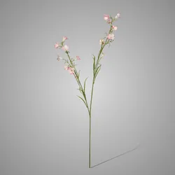 Campanula spray Reeva pink 105cm