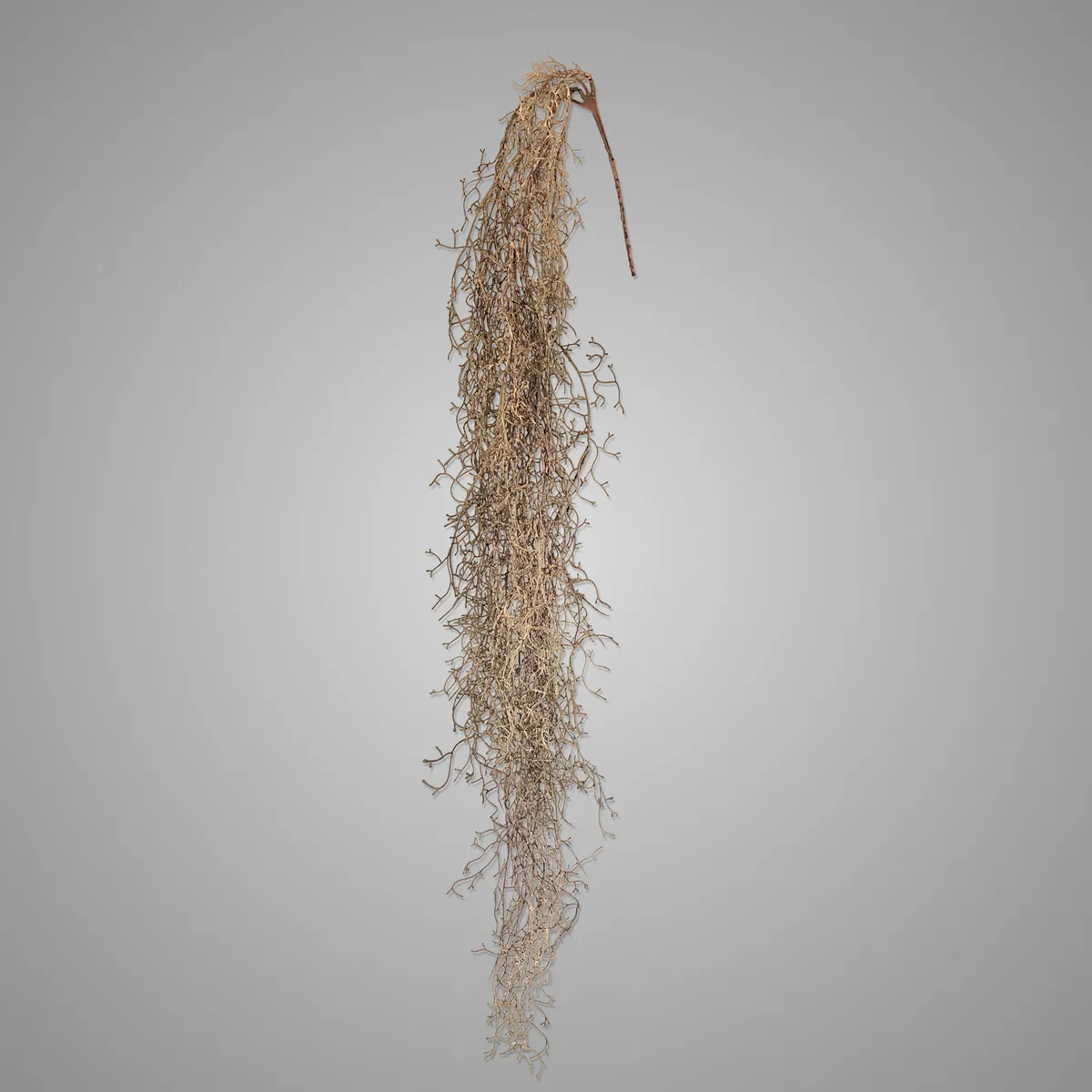 Tillandsi Garland Vintage Brown L 120 cm