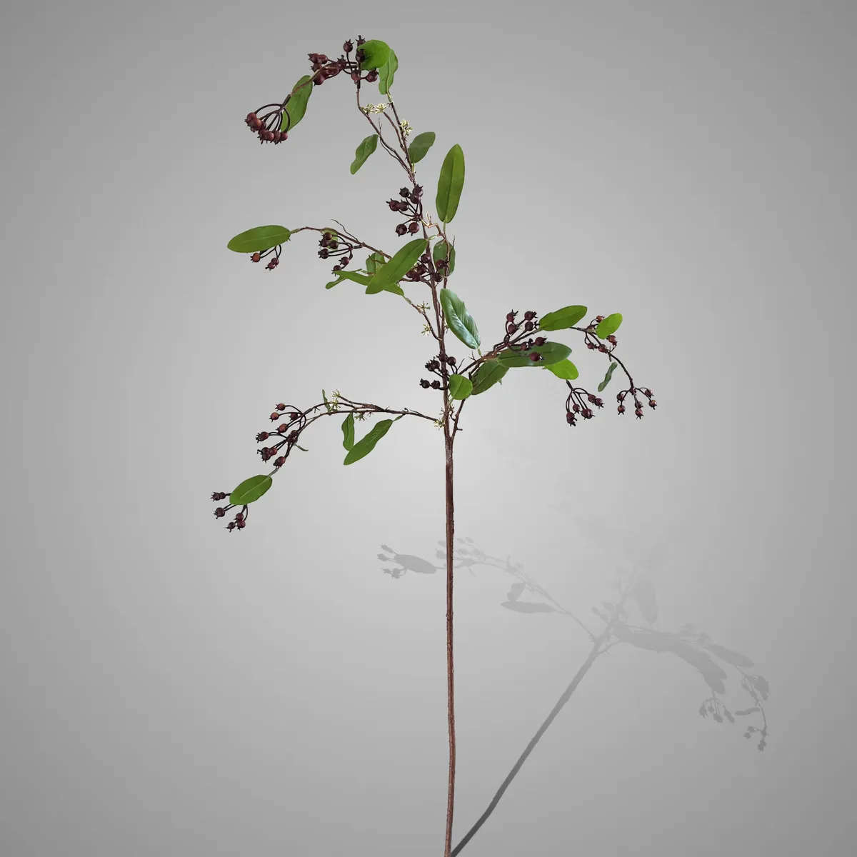 Wild Ligustrum Stem With Red Buds 95 cm
