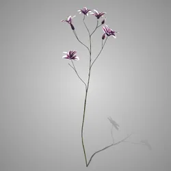 Magnolia Spray Colorado Burgundy 81cm