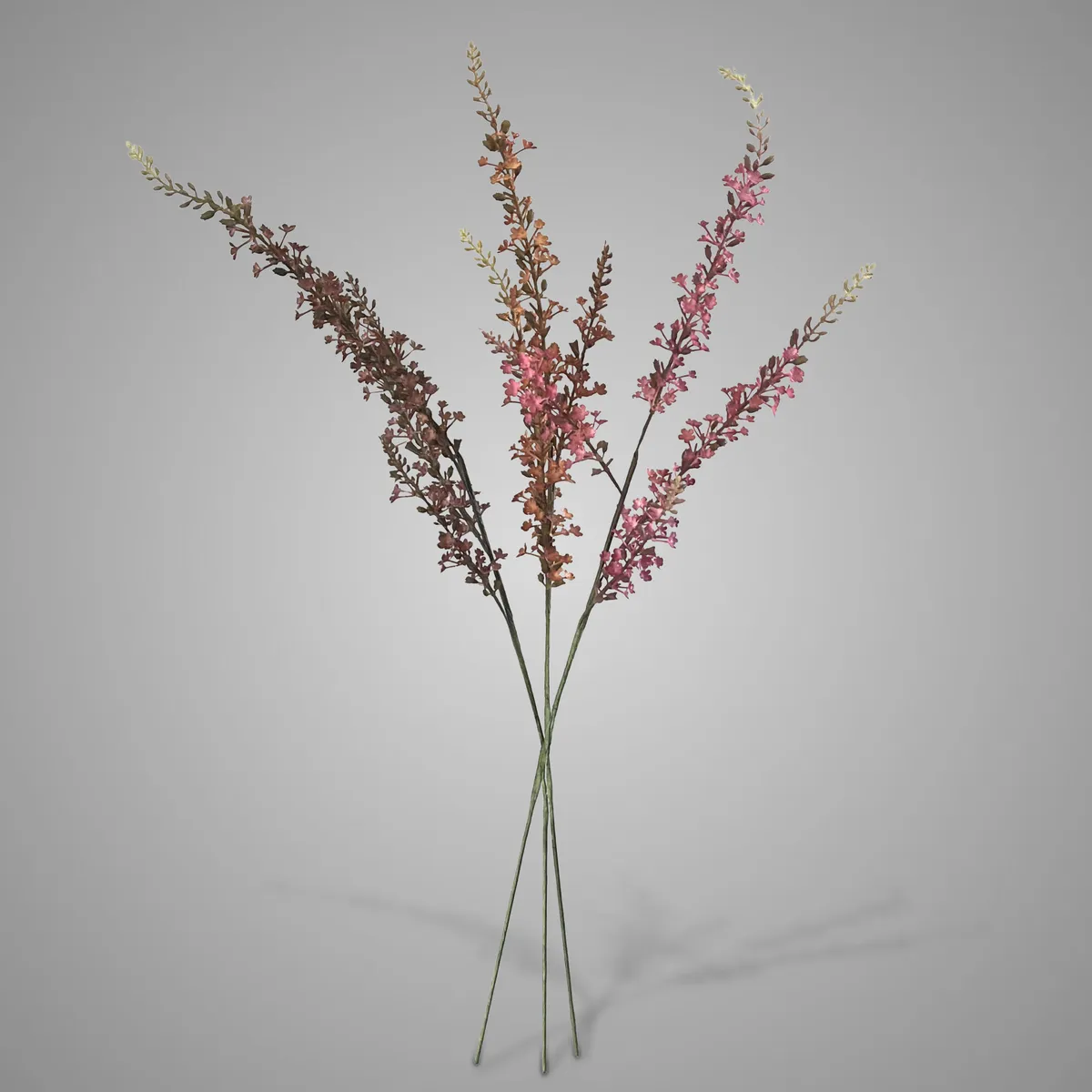 Sort. of 3 Nepeta Cataria Autumn 63 cm
