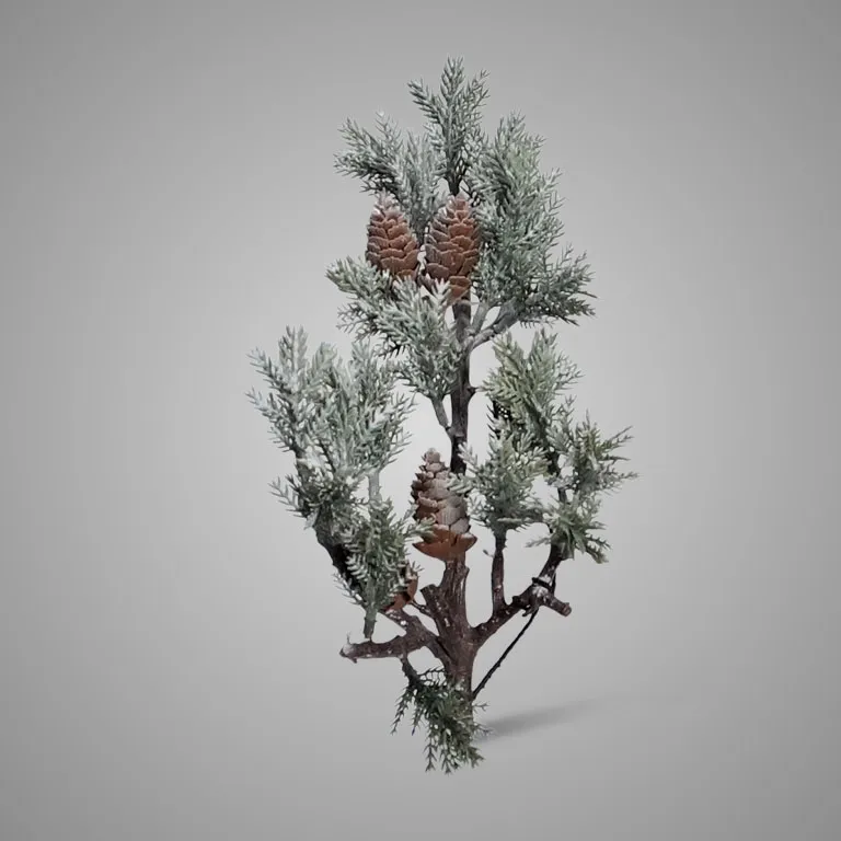 Thuja Cone 36 cm
