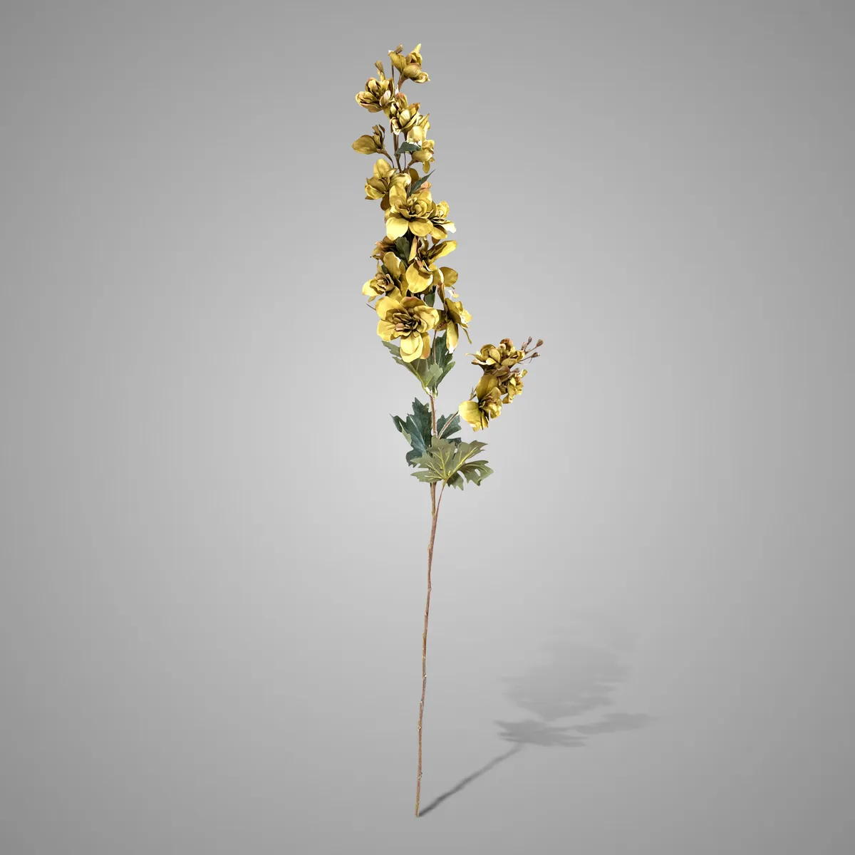 Delphinium Green 82cm