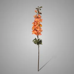 Delphinium Copper  75 cm