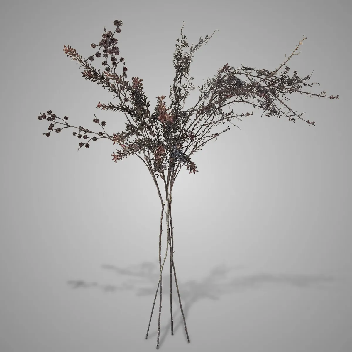 Sort. of 4 Leafs Deluxe Brown 85 cm